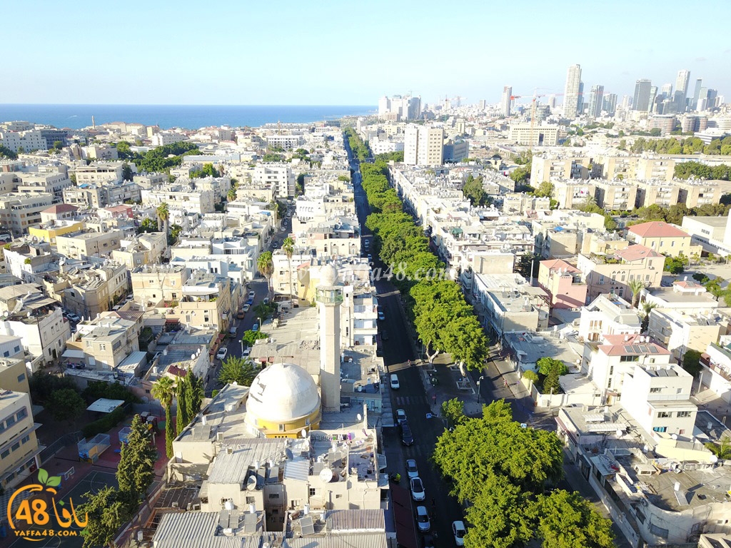 jamal basha tsterre (31).JPG